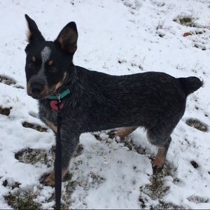 Meet your Posher, Heather